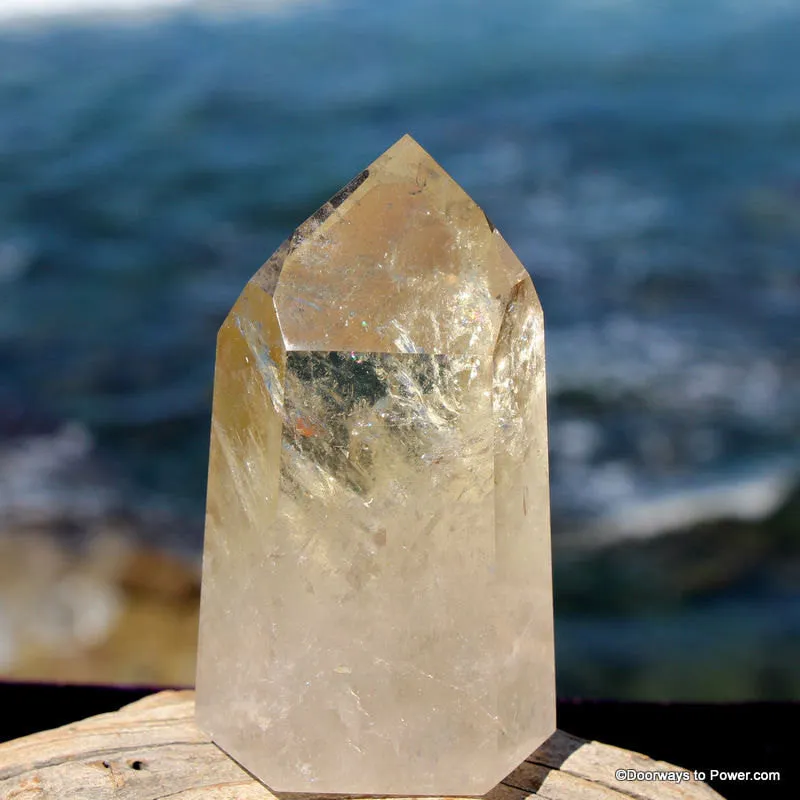 3.7" John of God Citrine Dow Abundance & Prosperity Crystal Point