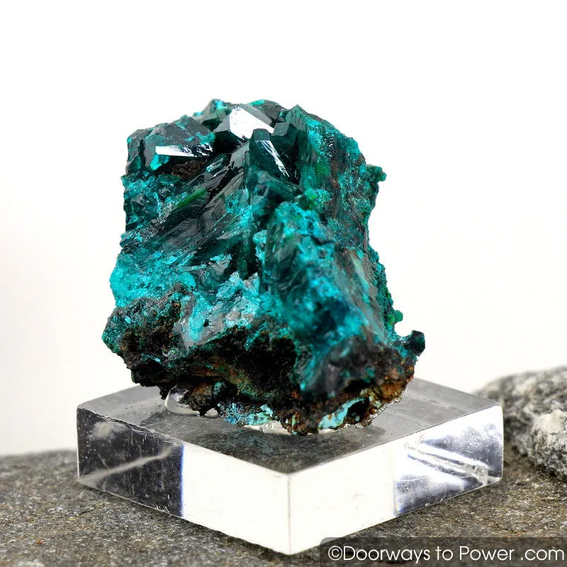 Beautiful Dioptase Mineral Specimen Kazakhstan A    