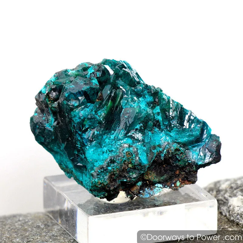 Beautiful Dioptase Mineral Specimen Kazakhstan A    