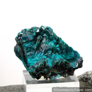 Beautiful Dioptase Mineral Specimen Kazakhstan A    