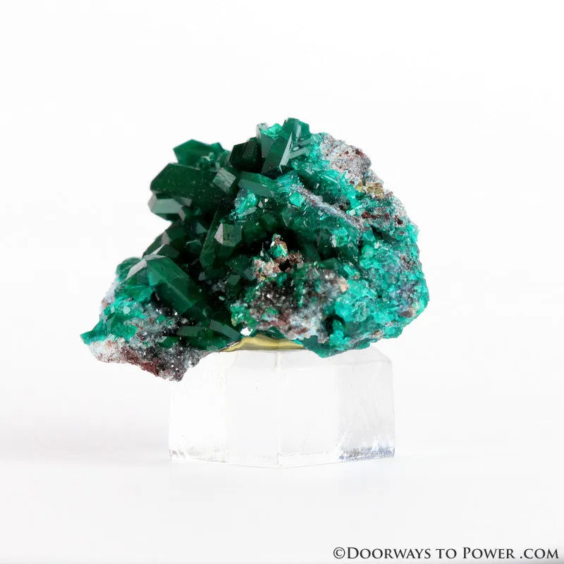 Beautiful Dioptase Specimen A     Collectors Quality