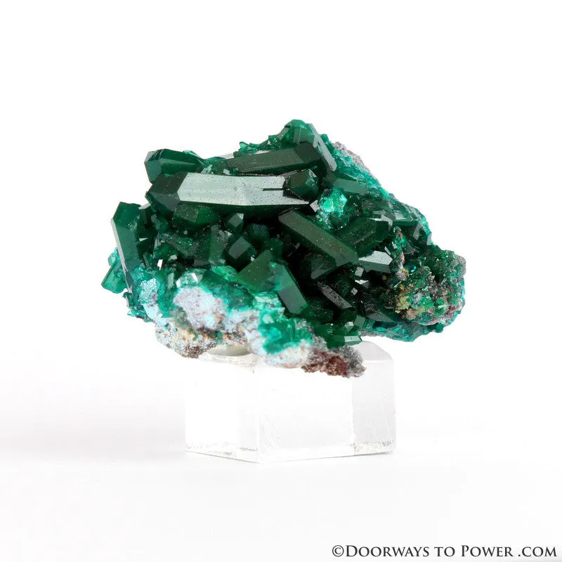 Beautiful Dioptase Specimen A     Collectors Quality