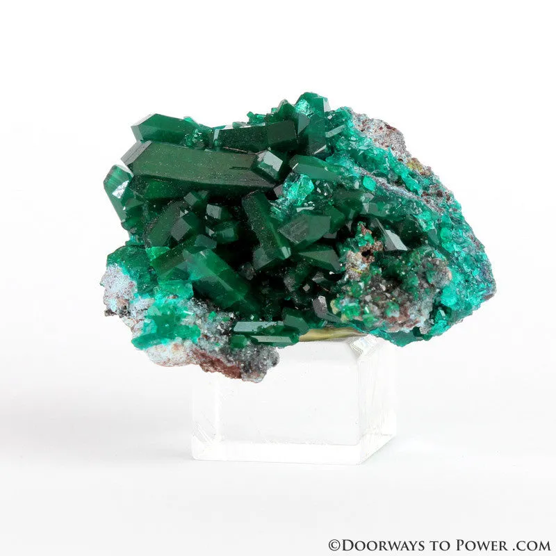 Beautiful Dioptase Specimen A     Collectors Quality