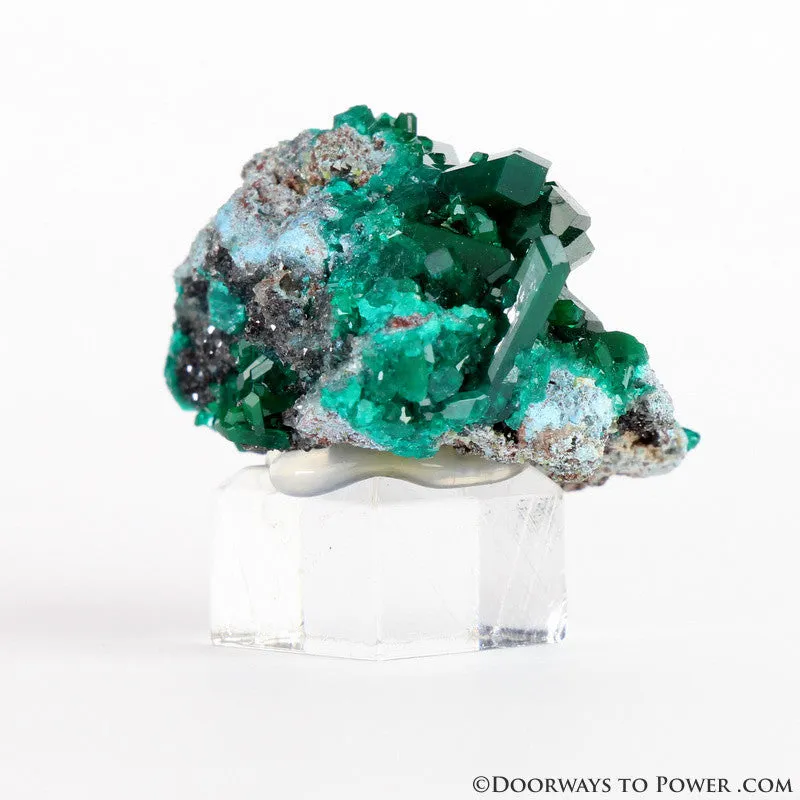 Beautiful Dioptase Specimen A     Collectors Quality