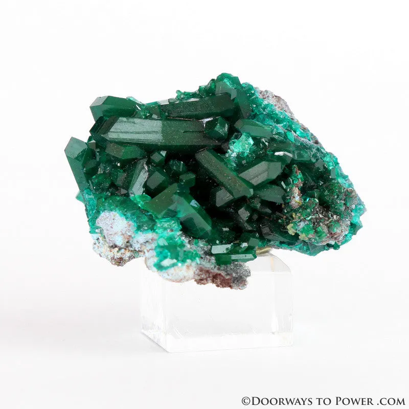 Beautiful Dioptase Specimen A     Collectors Quality