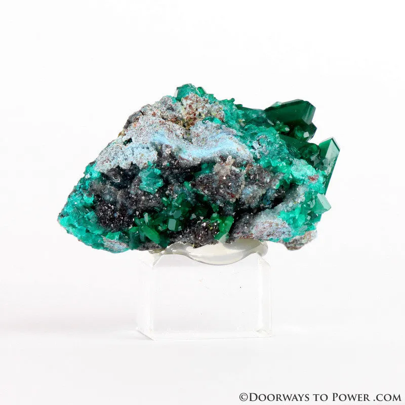 Beautiful Dioptase Specimen A     Collectors Quality