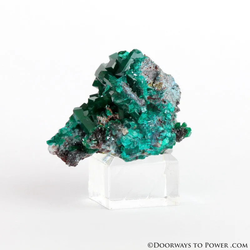 Beautiful Dioptase Specimen A     Collectors Quality