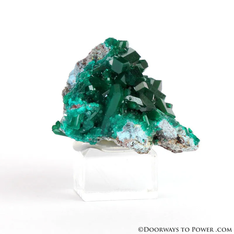 Beautiful Dioptase Specimen A     Collectors Quality