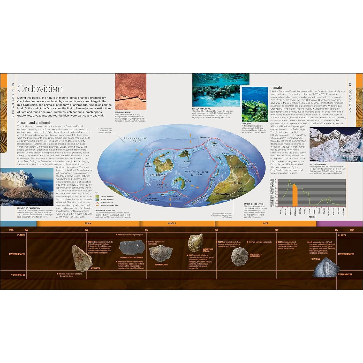 Dinosaurs and Prehistoric Life: The Definitive Visual Guide to Prehistoric Animals