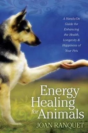 Energy Healing for Animals