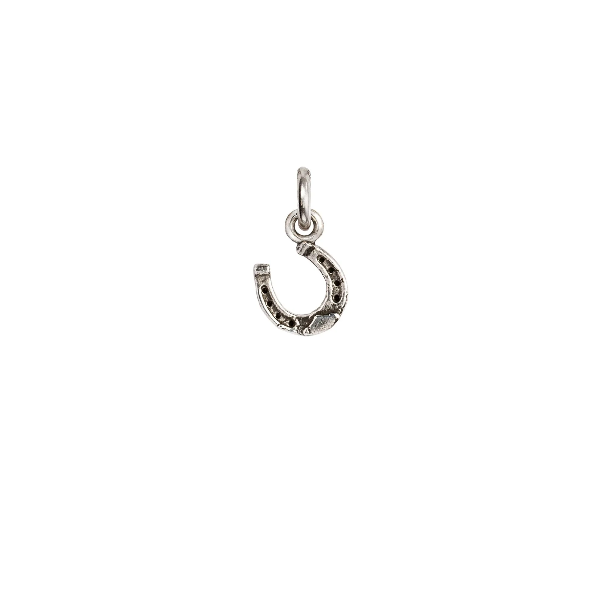 Horseshoe Symbol Charm