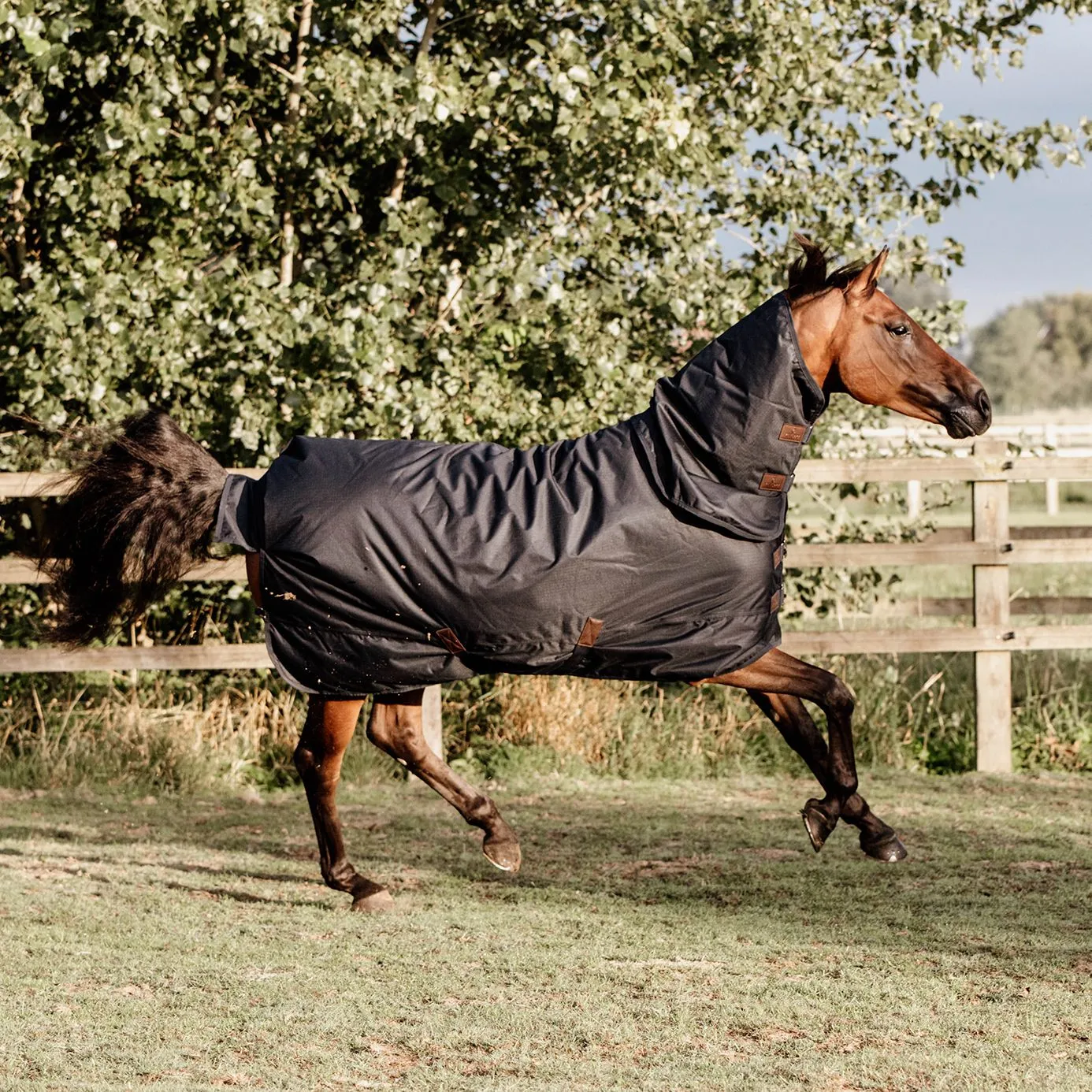 Kentucky Horsewear All Weather Waterproof Classic Turnout Rug 300g - Navy