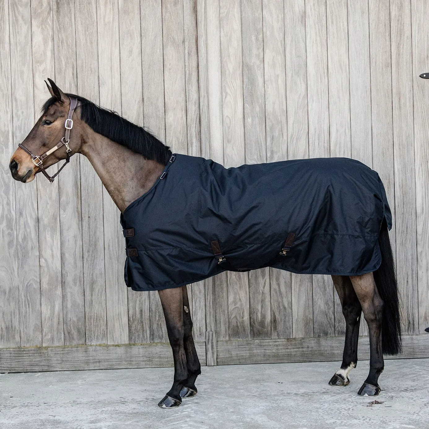 Kentucky Horsewear All Weather Waterproof Classic Turnout Rug 300g - Navy