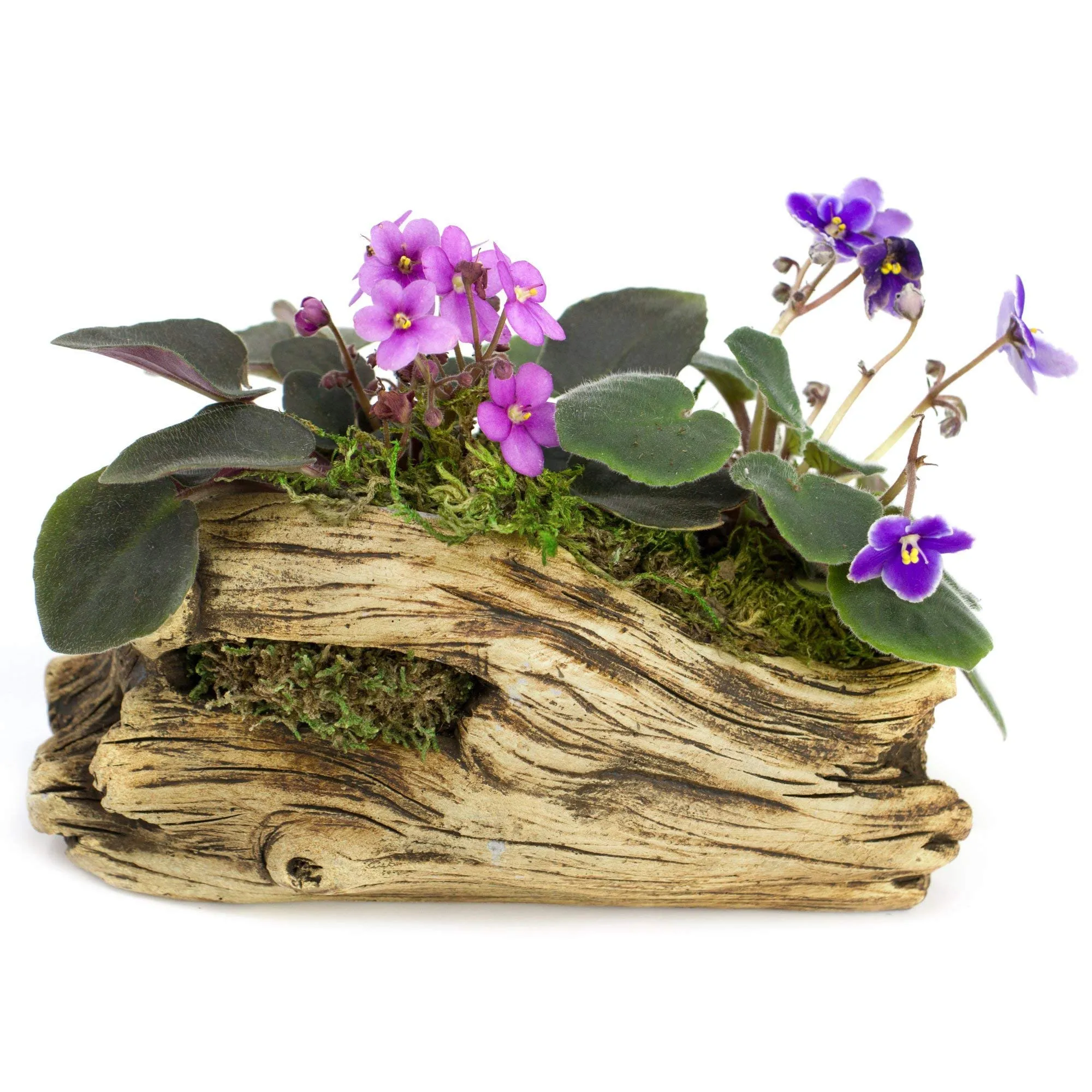 Natural Elements Log Planter (Trunk)  Realistic Woodland-Themed with Intricate