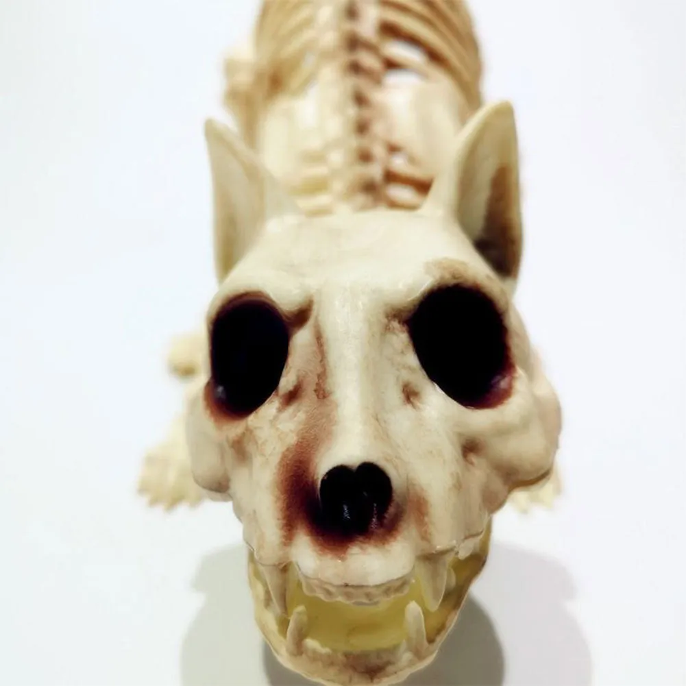 Skeleton Pet Figurines