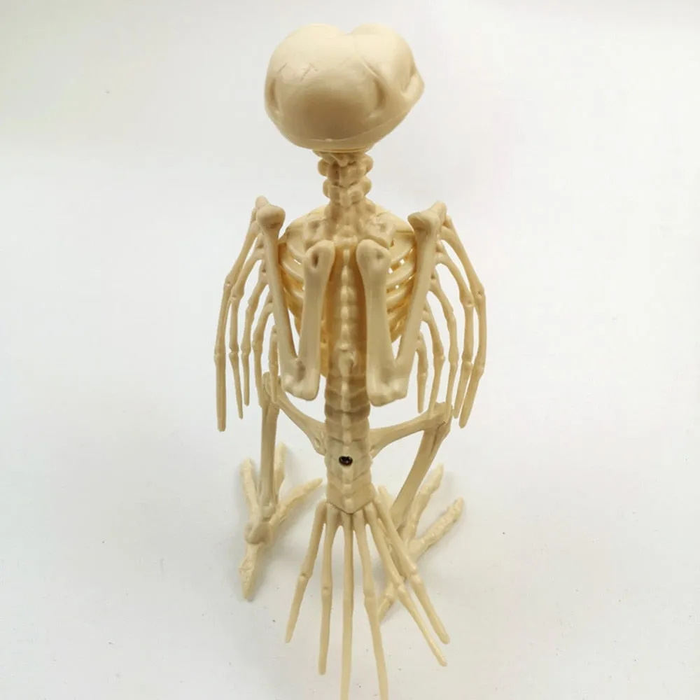 Skeleton Pet Figurines