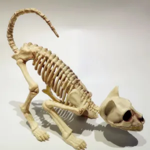 Skeleton Pet Figurines