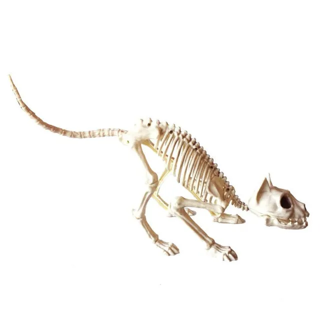 Skeleton Pet Figurines